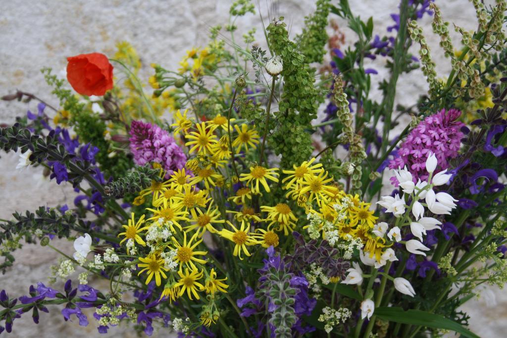 La Perle Du Lot Bed and Breakfast Castelnau-Montratier Εξωτερικό φωτογραφία
